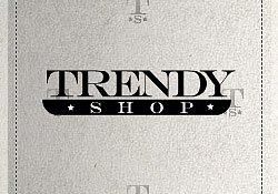 Флеш-банер для интернет-магазина "TrendyShop" Флеш-банер для интернет-магазина "TrendyShop"